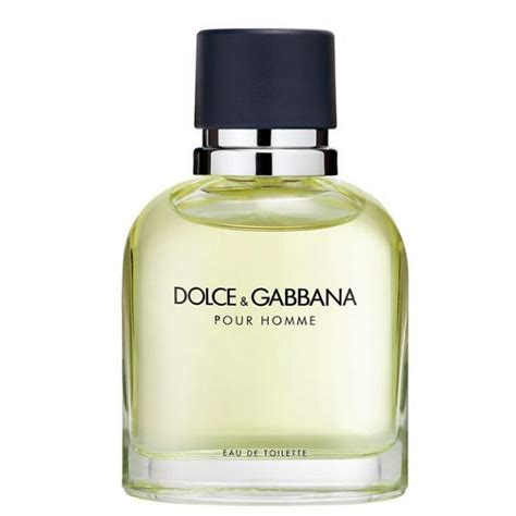 dolce cologne for men|best dolce and gabbana cologne.